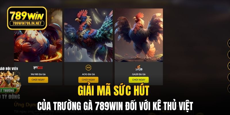 Giải mã sức hút của trường gà 789WIN đối với kê thủ Việt