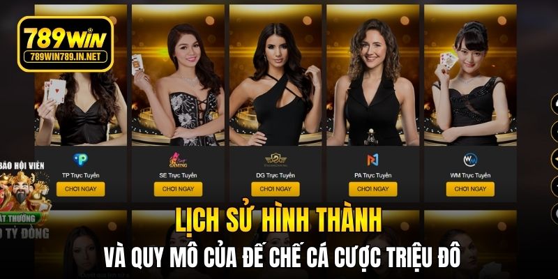 Lịch sử hình thành và quy mô của đế chế cá cược triệu đô