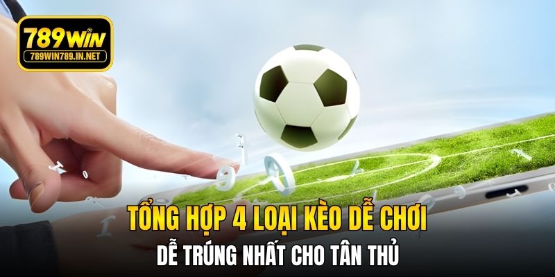 Tổng hợp 4 loại kèo dễ chơi, dễ trúng nhất cho tân thủ