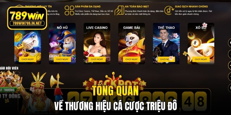 Tổng quan về thương hiệu cá cược triệu đô